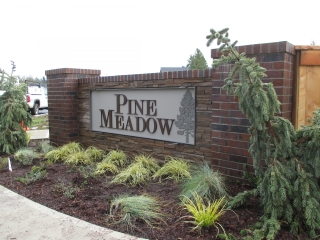 Pine Meadow - 1