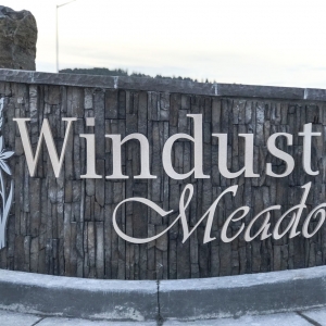 Windust Meadows - 2